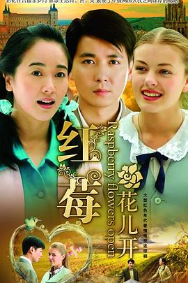 红莓花儿开 第03集
