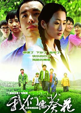 我们像葵花 第02集