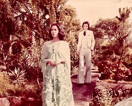 片断粤语 第16集