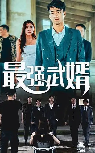 最强武婿 第21-40集