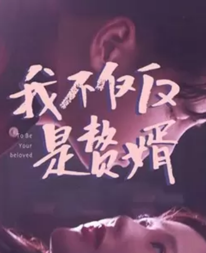 我不仅仅是赘婿 第03集