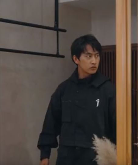 医武赘婿 第13集