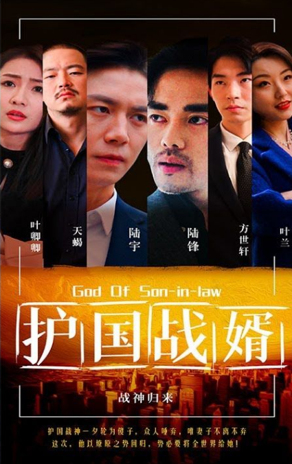护国战婿 第02集