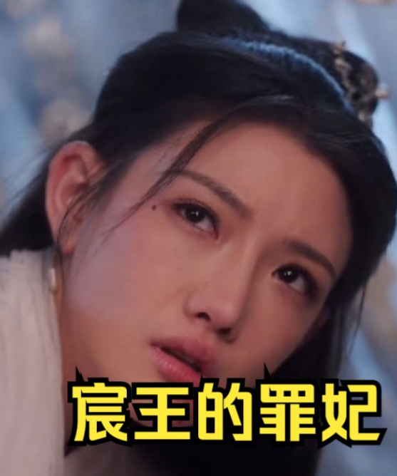 宸王的罪妃 第81集