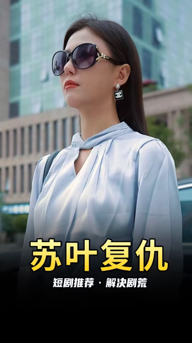 苏叶的复仇 第03集