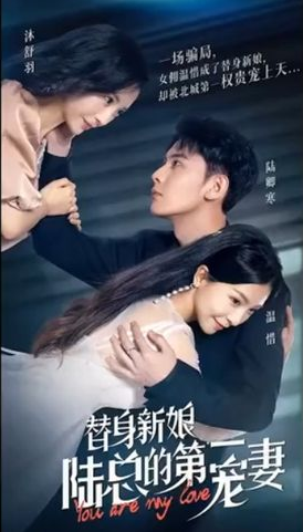 替身新娘:陆总的第一宠妻 第02集