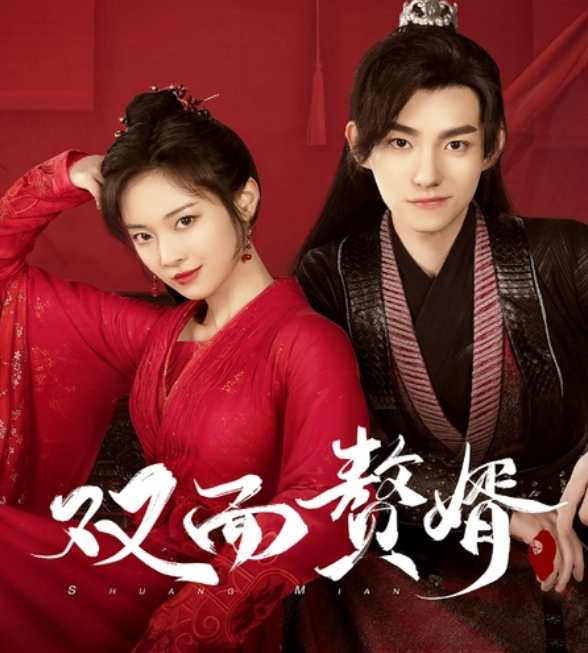 双面赘婿不好惹 第02集