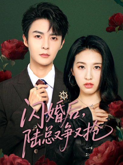 闪婚后陆总又争又抢(全集)