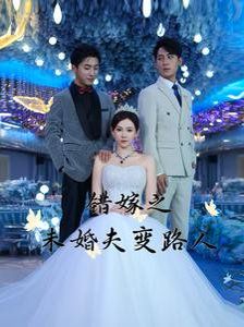 错嫁之未婚夫变路人 第21-40集