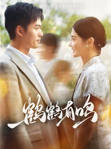 鹤鹤有鸣 第41-60集