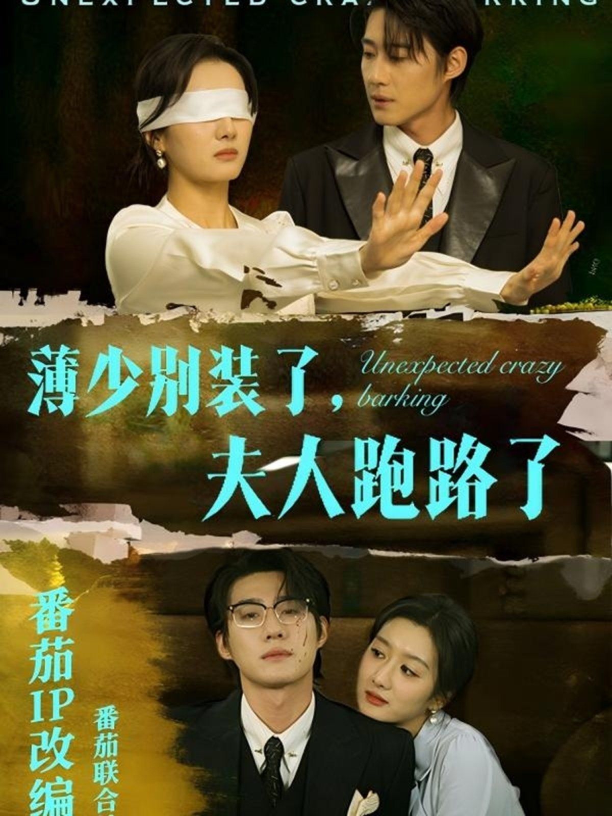 薄少别装了夫人跑路了 第5集