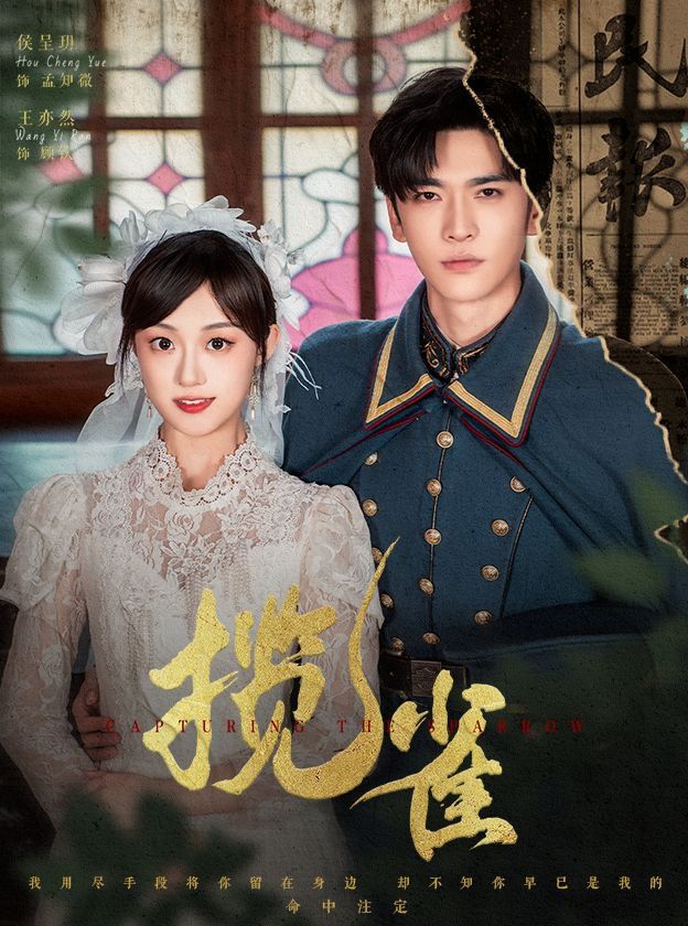 揽雀 第31-61集完结(大结局)