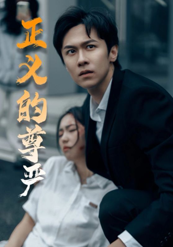 正义的尊严 第2集