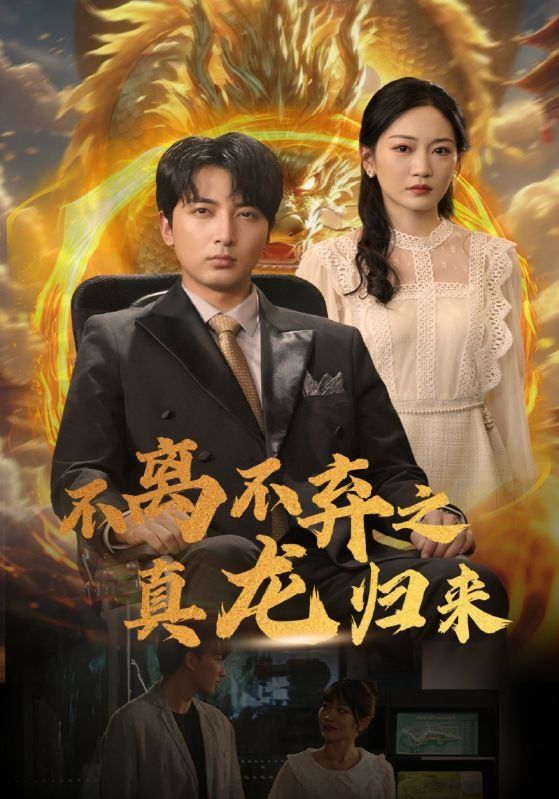 不离不弃之真龙归来 第02集