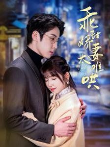 乖甜娇妻太难哄 第101集(大结局)