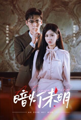 暗灯未明 第61-72集完结(大结局)