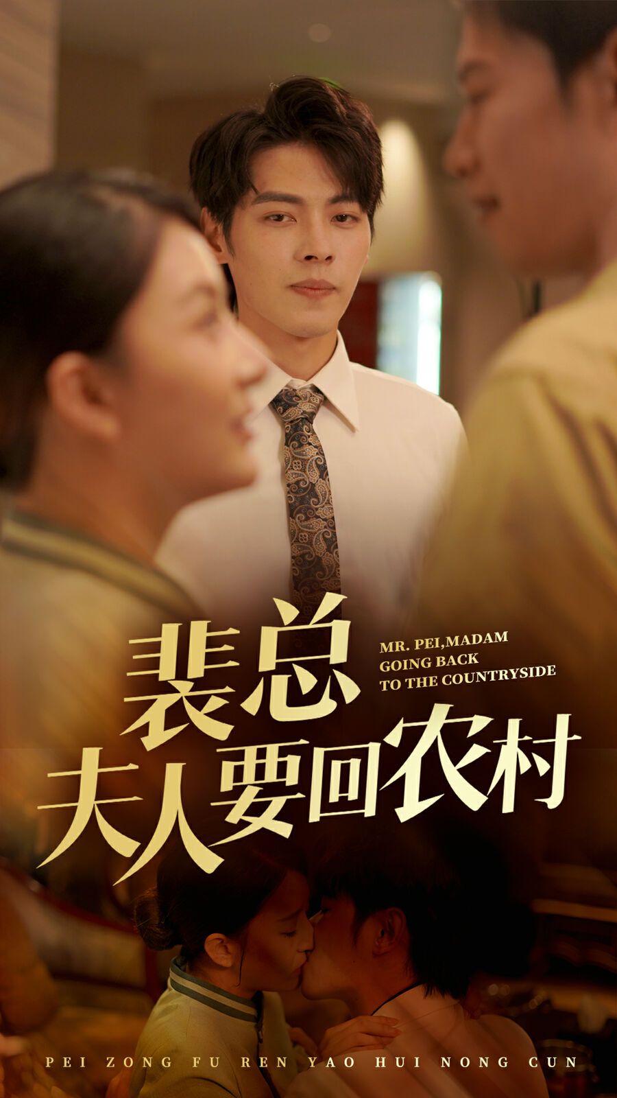 裴总夫人要回农村 第02集