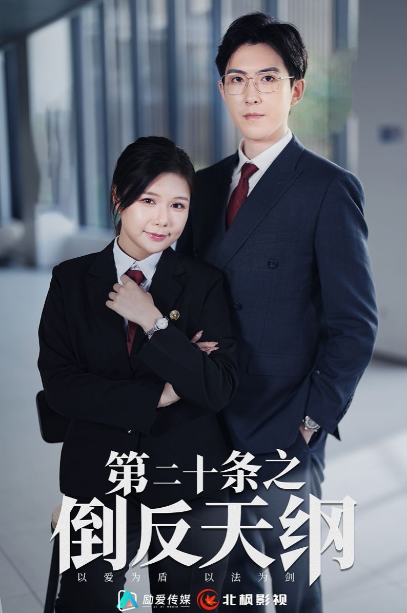 第二十条之倒反天纲 第1-20集