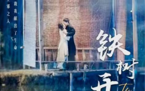 铁树开花 第02集