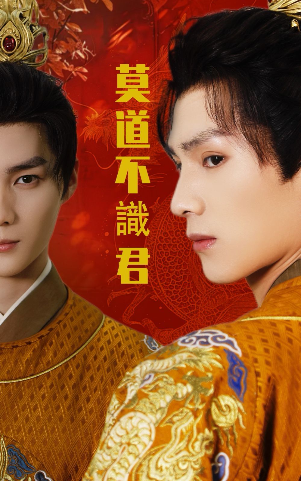 莫道不识君 第31-63集完结(大结局)