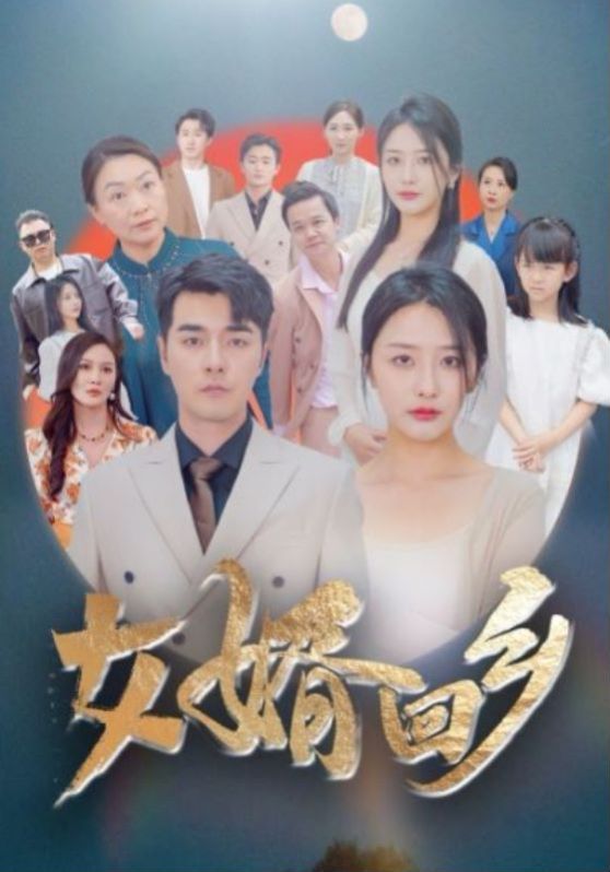 女婿回乡 第101集