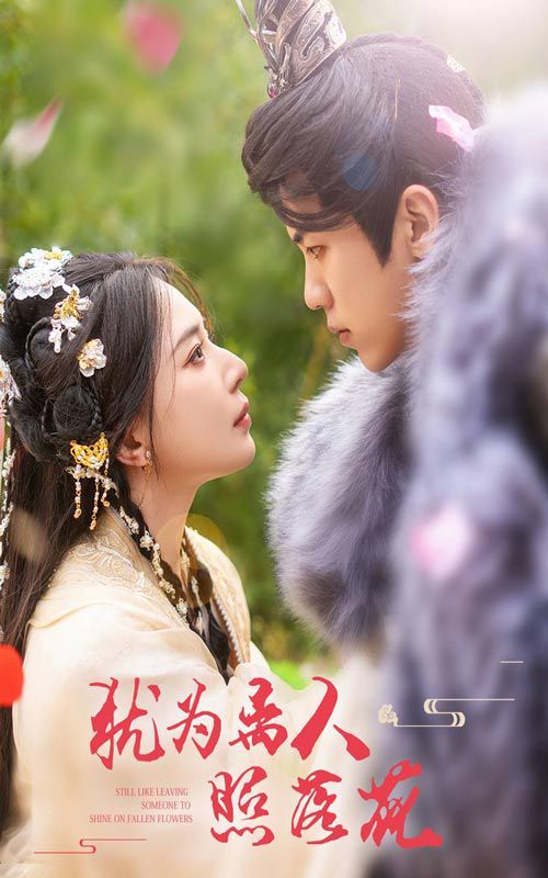 犹为离人照落花 第04集