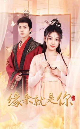 缘来就是你 第41-65集完结(大结局)