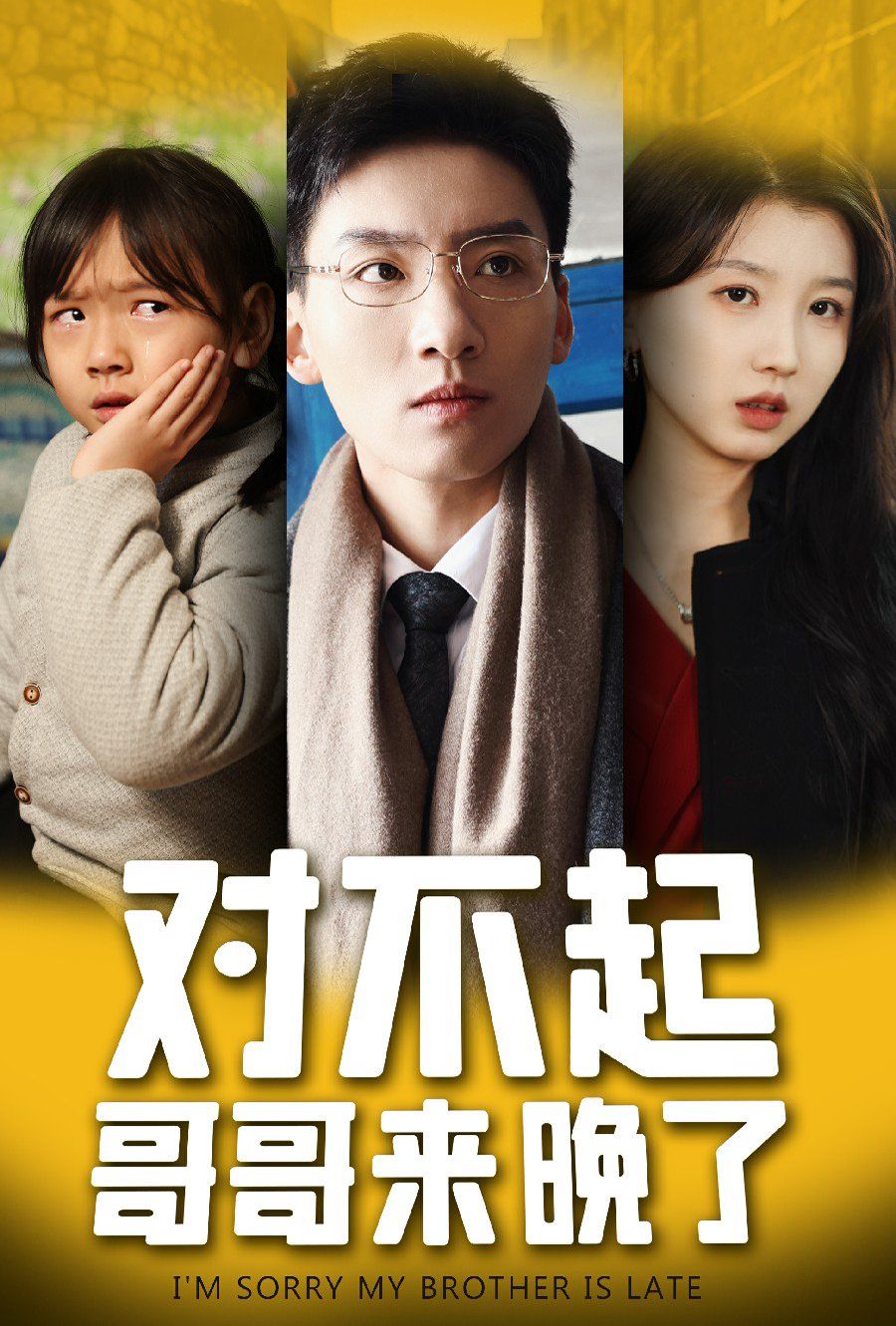 对不起哥哥来晚了 第1-20集