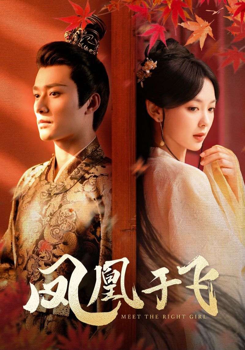 凤凰于飞 第02集