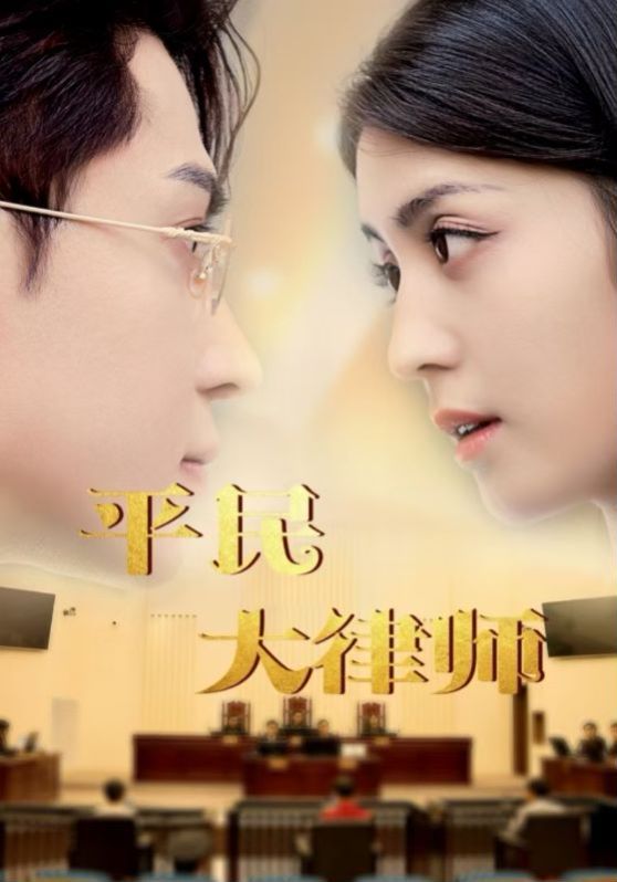 平民大律师 第03集