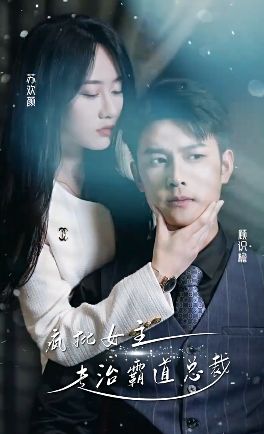 疯批女主专治霸道总裁 第21-40集