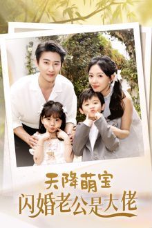 天降萌宝闪婚老公是大佬 第21-40集