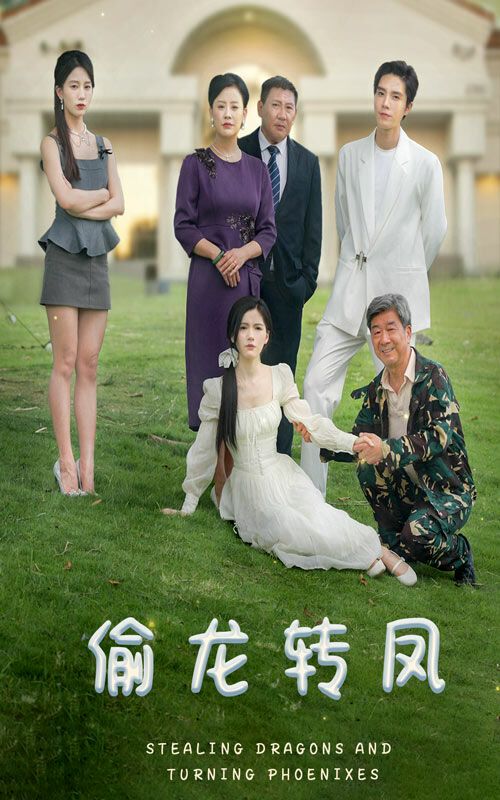 偷龙转凤 第21-40集