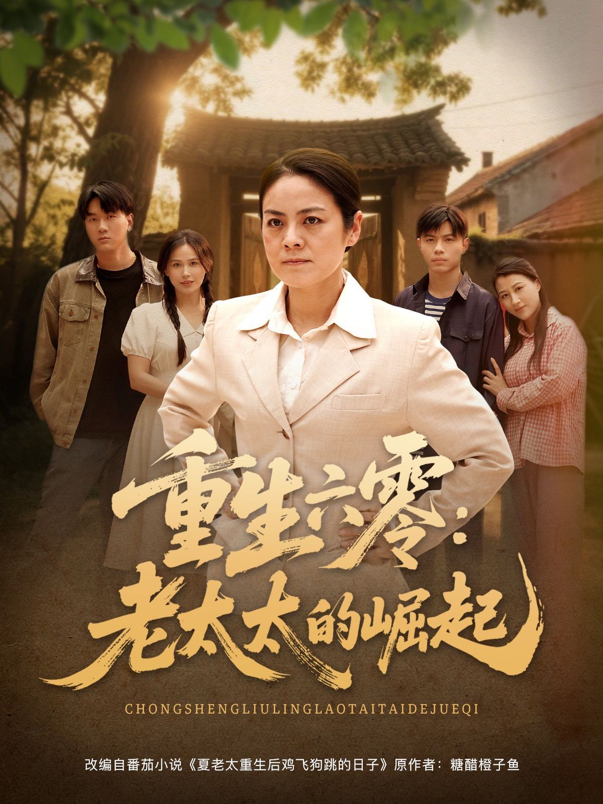 重生六零：老太太的崛起 第31-60集