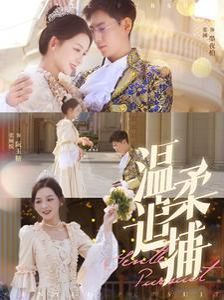 温柔追捕 第76集