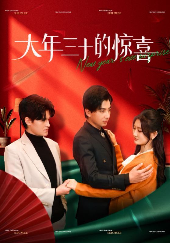 大年三十的惊喜 第22集