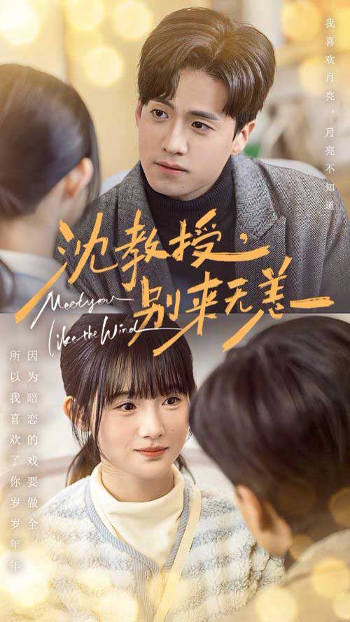 沈教授别来无恙 第21-40集