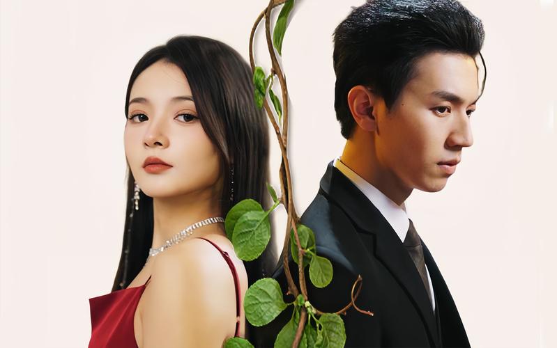 许你一世倾城 第21-40集