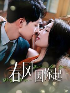 春风因你起 第21-40集
