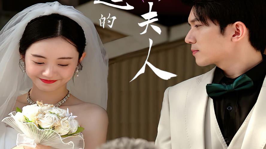 了不起的萧夫人 第41-60集