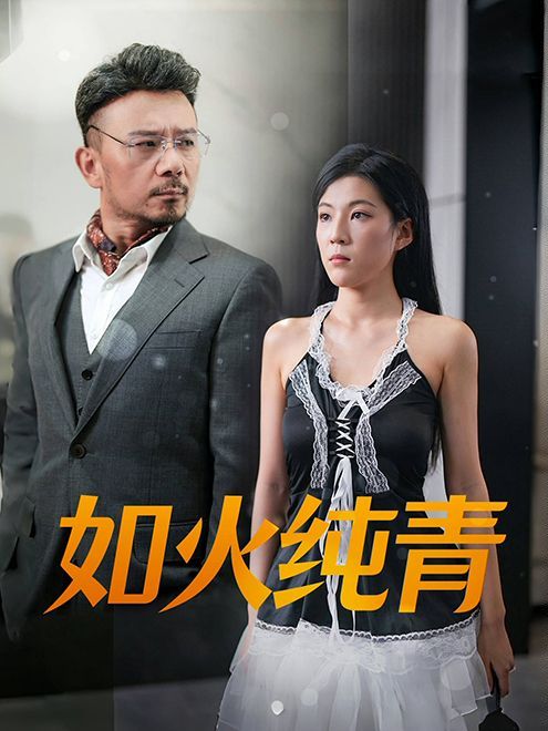 如火纯青 第09集