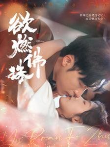 欲燃佛珠 第3集