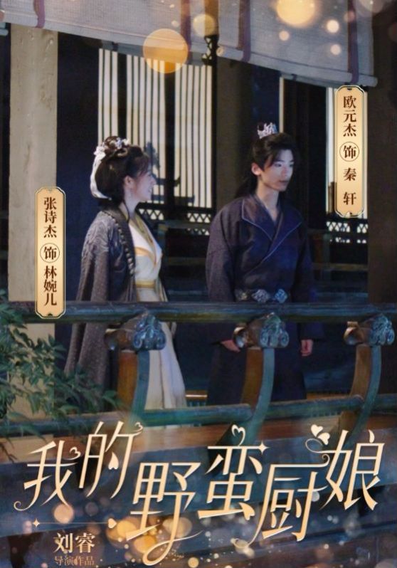 我的野蛮厨娘 第21-40集