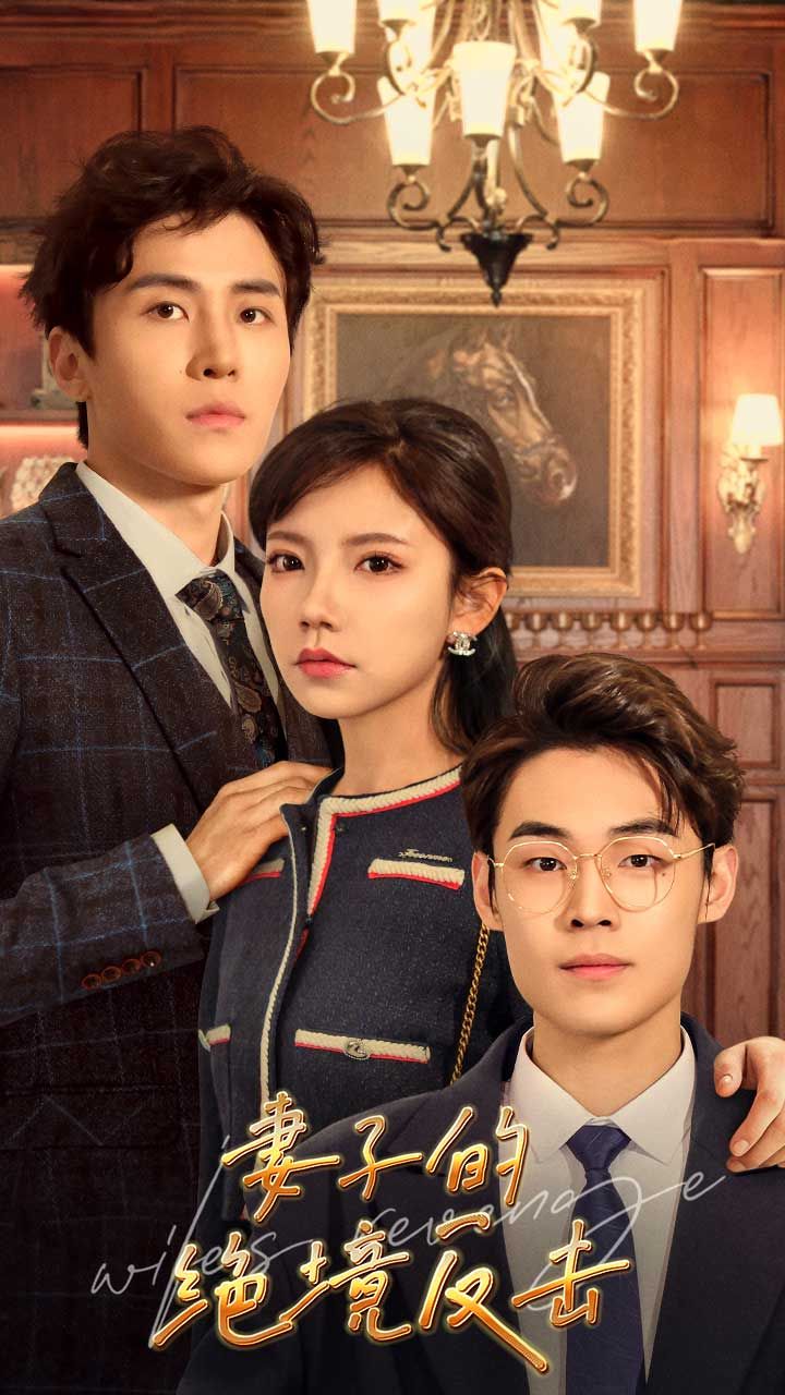 妻子的绝境反击 第81集(大结局)