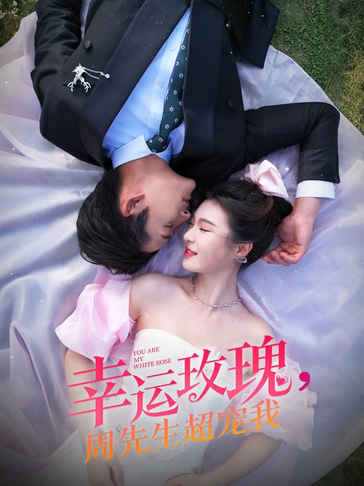 幸运玫瑰周先生超宠我 第1-30集