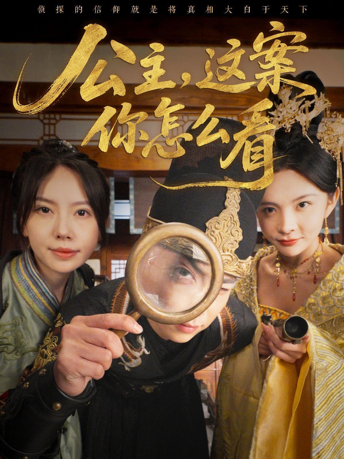 公主，这案你怎么看 第1-30集