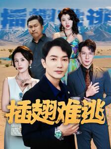 插翅难逃 第21-43集完结(大结局)