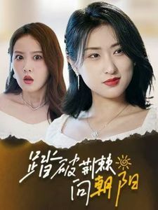 踏破荆棘向朝阳 第12集