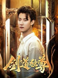 新剑道独尊 第41-60集