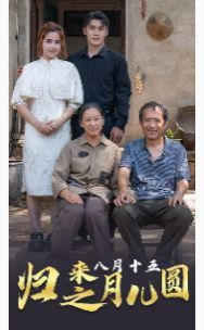 归来之八月十五月儿圆 第1-20集
